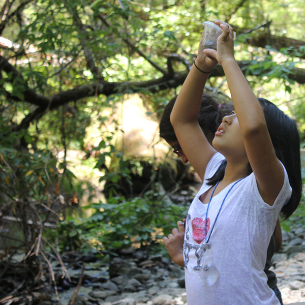 A student holds up and examines a glass of water outdoors during forest exploration